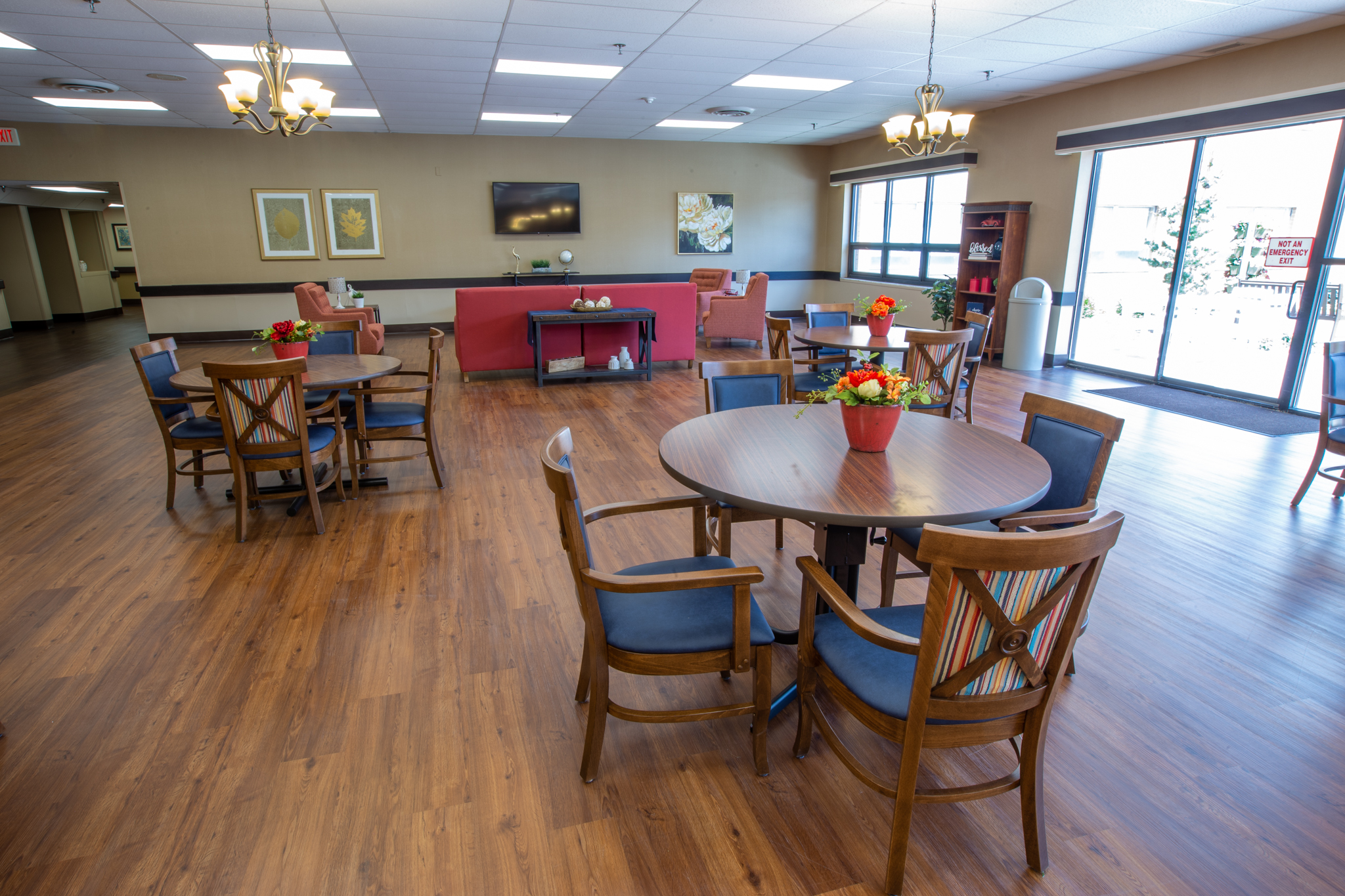 In-House Dialysis image